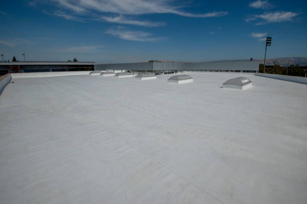 Best Sheet Metal Roofing  in Cambridge Springs, PA