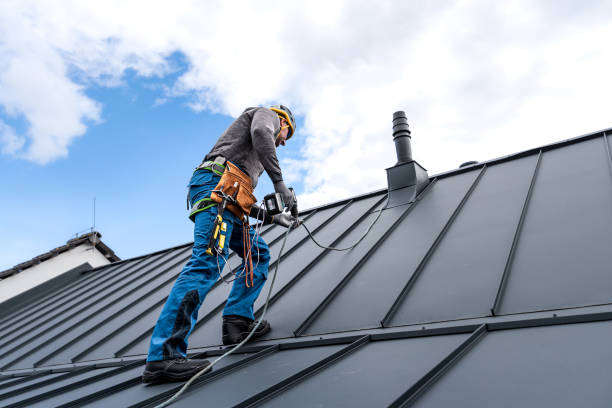 Best Chimney Flashing Repair  in Cambridge Springs, PA